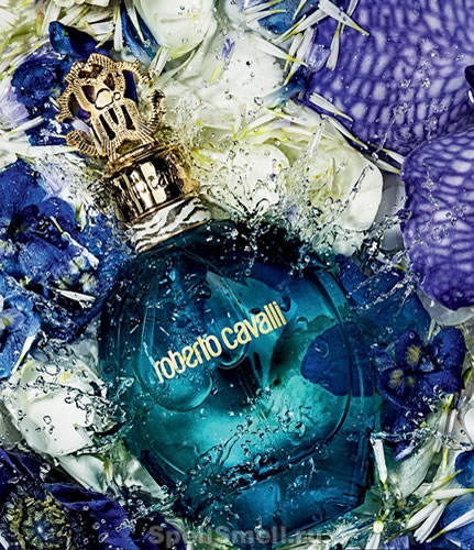 Roberto Cavalli Acqua — купить женские духи, туалетную воду, парфюм ...